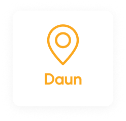 Daun